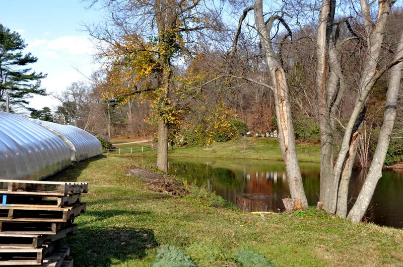 Harris, John, House and Farm, Brookline, Massachusetts