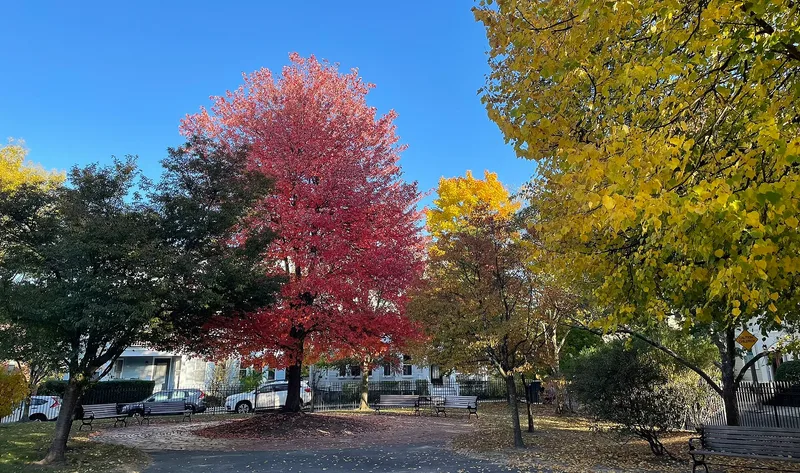 Linden Park, Brookline, Massachusetts