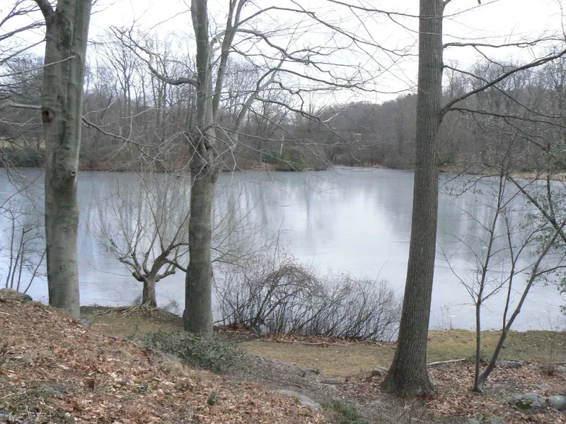 Sargent's Pond, Brookline, Massachusetts