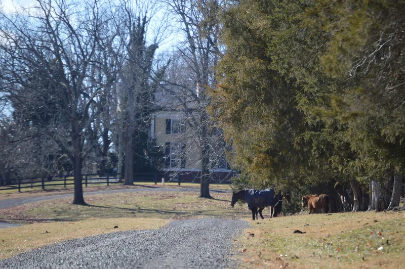 Brampton, Orange, Virginia