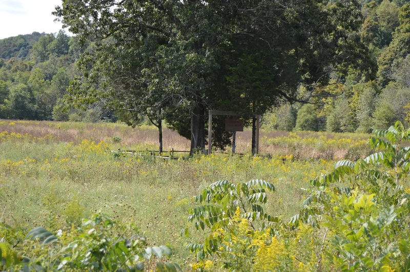 Book Site (36 Jul), Beale, Pennsylvania