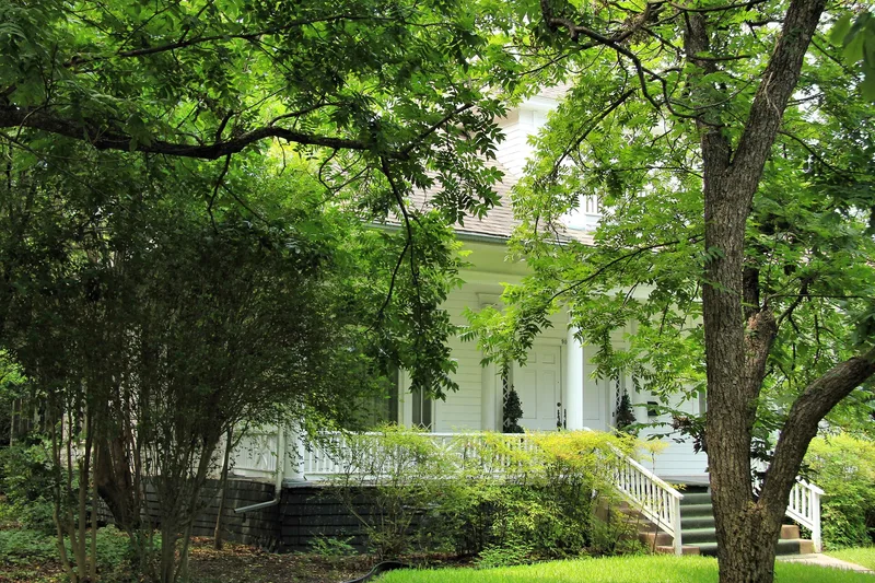 Pegues House, Georgetown, Texas