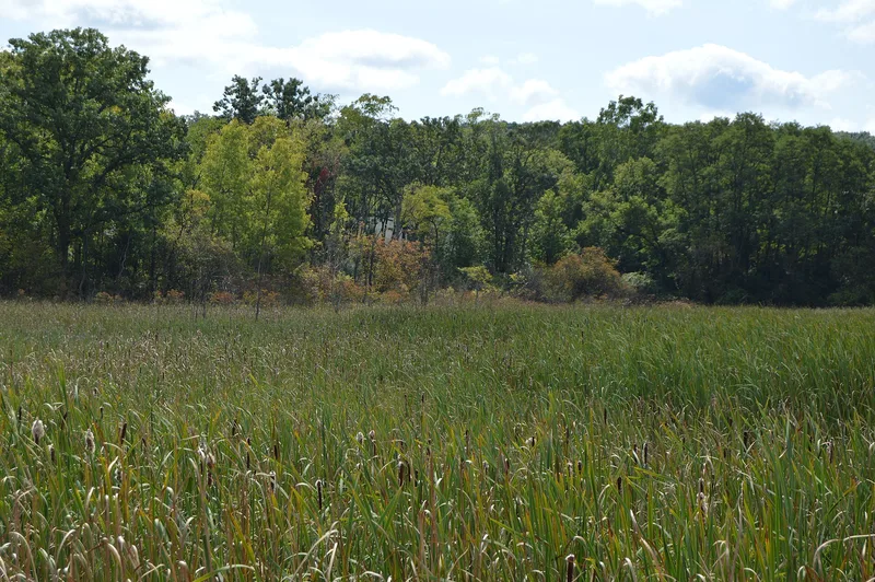 Houserville Site (36CE65), State College, Pennsylvania