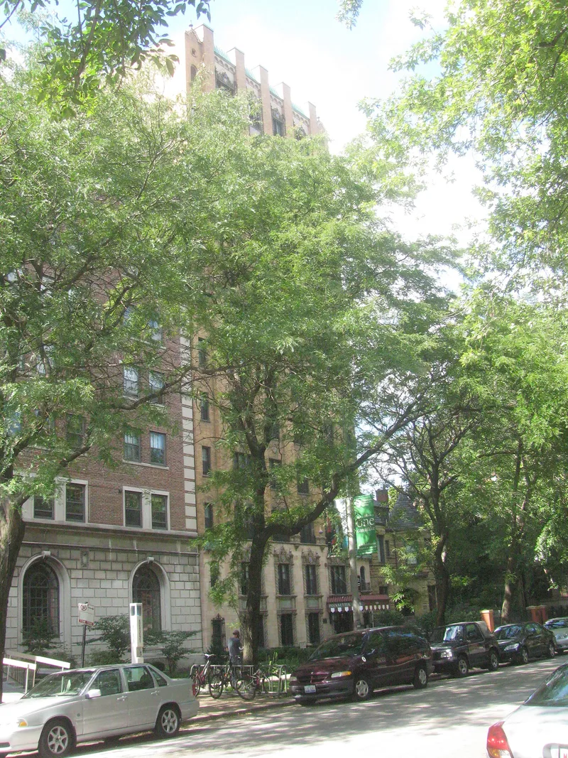 Poinsetta Apartments, Chicago, Illinois