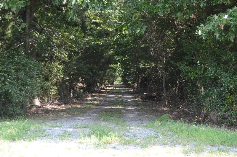 Wheatland, Callao, Virginia