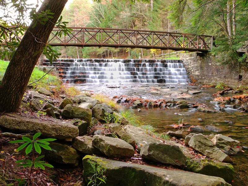 Clear Creek State Park Day Use District, Pennsylvania