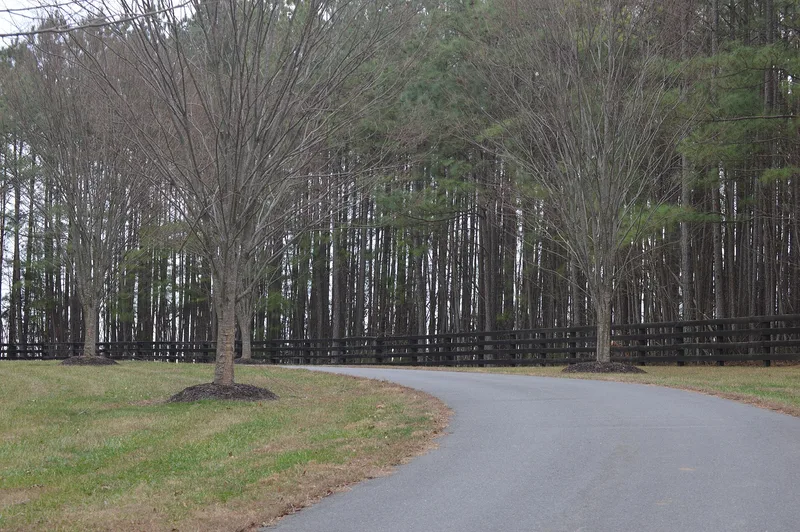 Mount Ida, Scottsville, Virginia