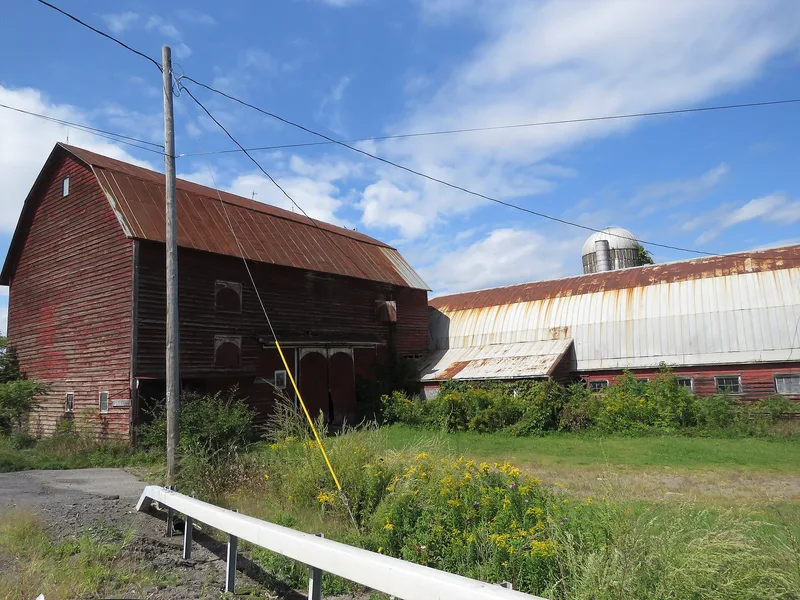 Ferguson Farm Complex, Duanesburg, New York
