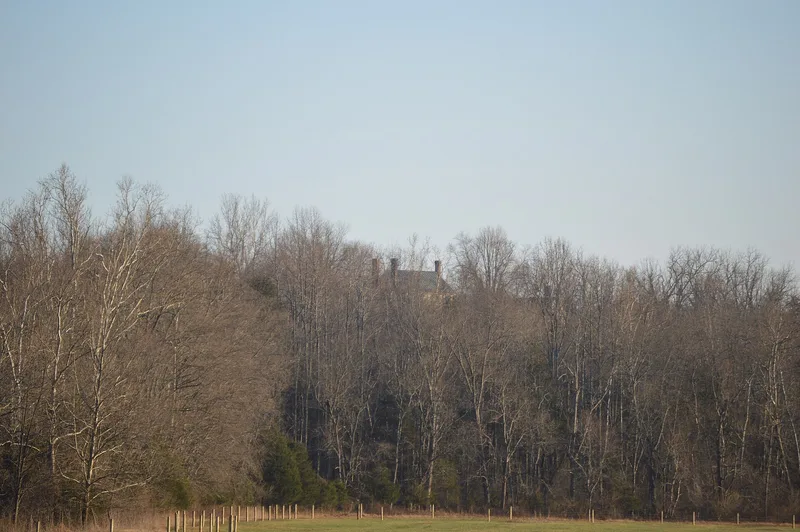 Locust Grove, Amicus, Virginia