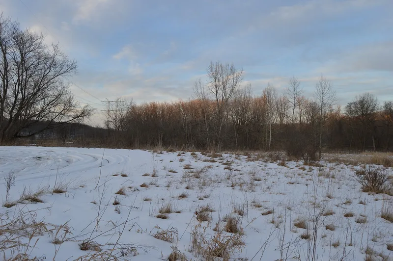 Vaughn Site (33CU65), Brecksville, Ohio