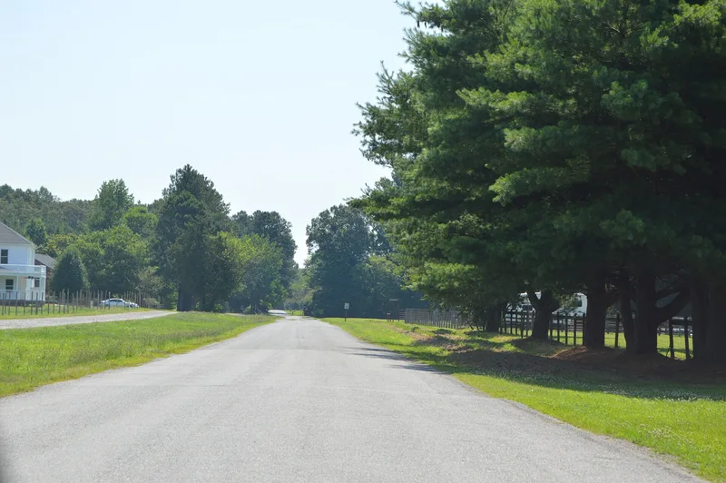 Pine Slash, Studley, Virginia