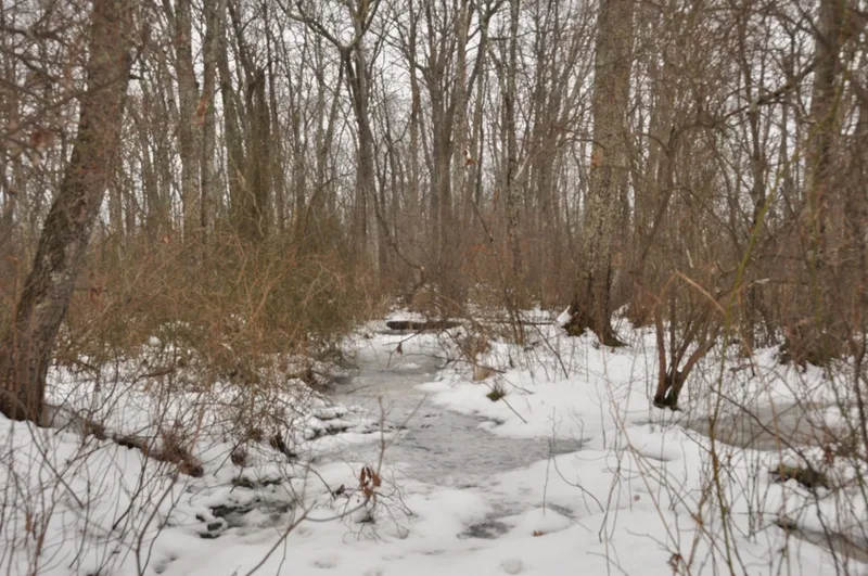 Cedar Swamp Archeological District, Massachusetts