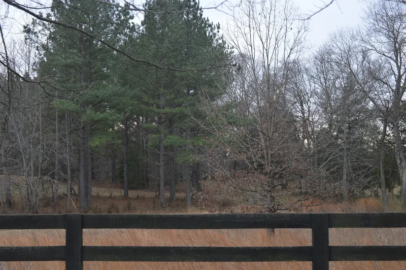Pine Knot, Glendower, Virginia