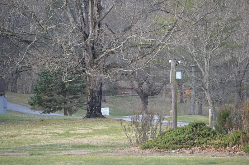Crockett Springs Cottage, Piedmont, Virginia