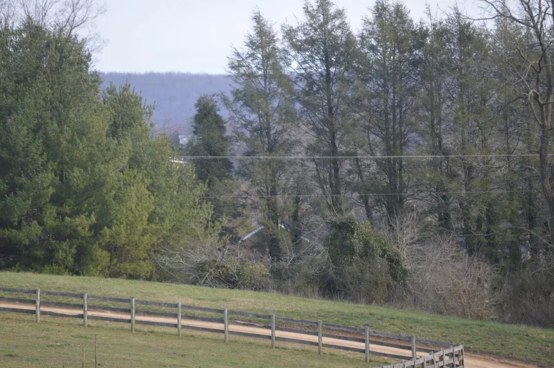 Walnut Spring, Kanodes Mill, Virginia