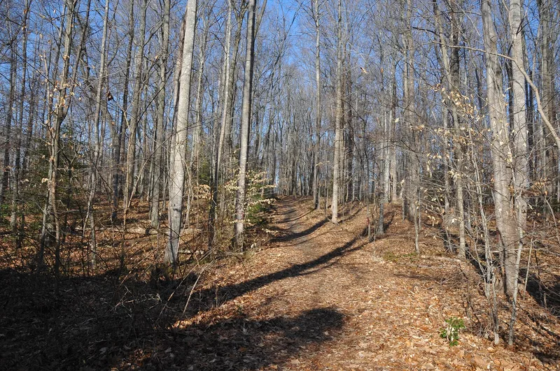 Louisiana Brigade Winter Camp, Manassas Park, Virginia