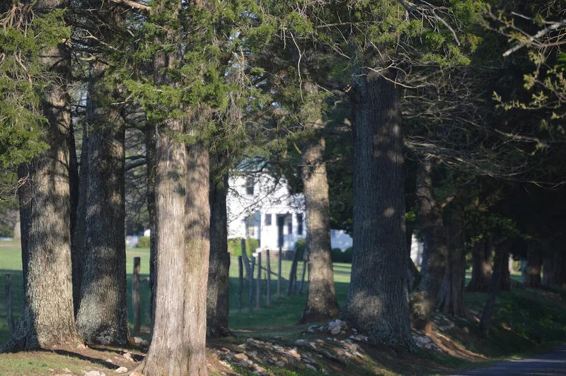 Bellevue, Goode, Virginia