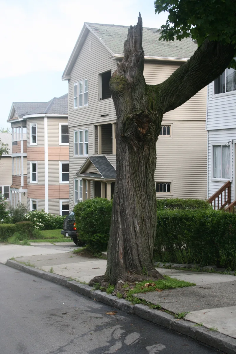 View Street Historic District, Worcester, Massachusetts