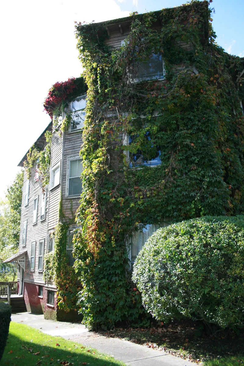 Dodge, Helen, Three-Decker, Worcester, Massachusetts