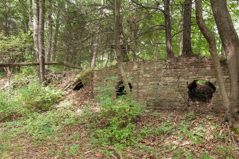 Minersville Coke Ovens, Coalmont, Pennsylvania