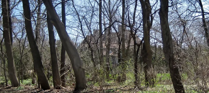 Judah, Noble, Estate, Illinois