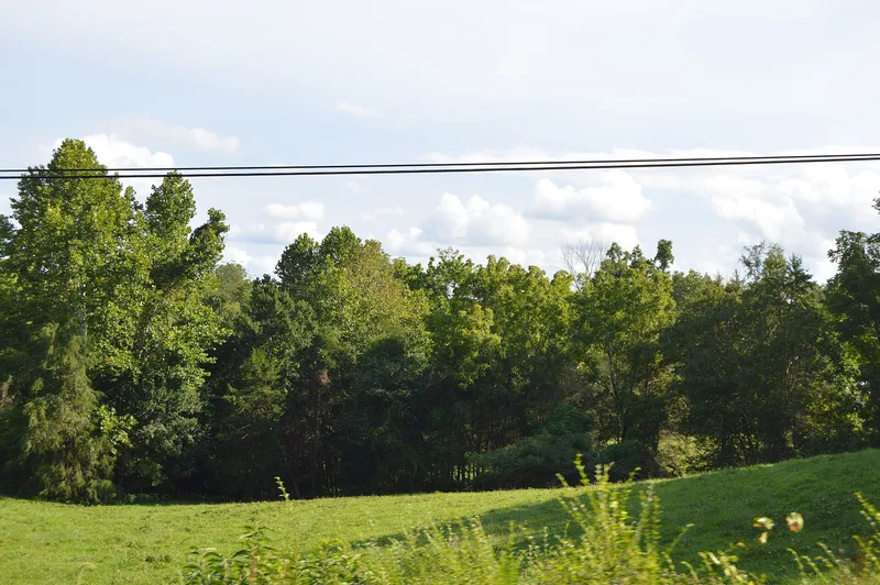 Orange Springs, Unionville, Virginia
