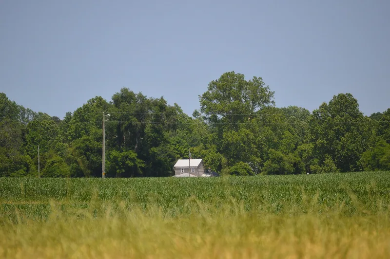 Rochester House, Lyells, Virginia
