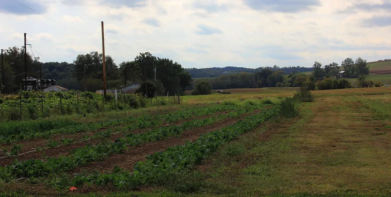Kentland Farm Historic and Archeological District, Blacksburg, Virginia