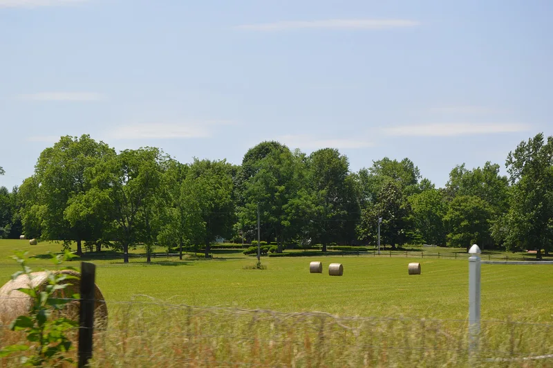Linden, Champlain, Virginia