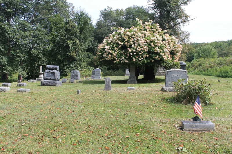 Old Cochecton Cemetery, Cochecton, New York