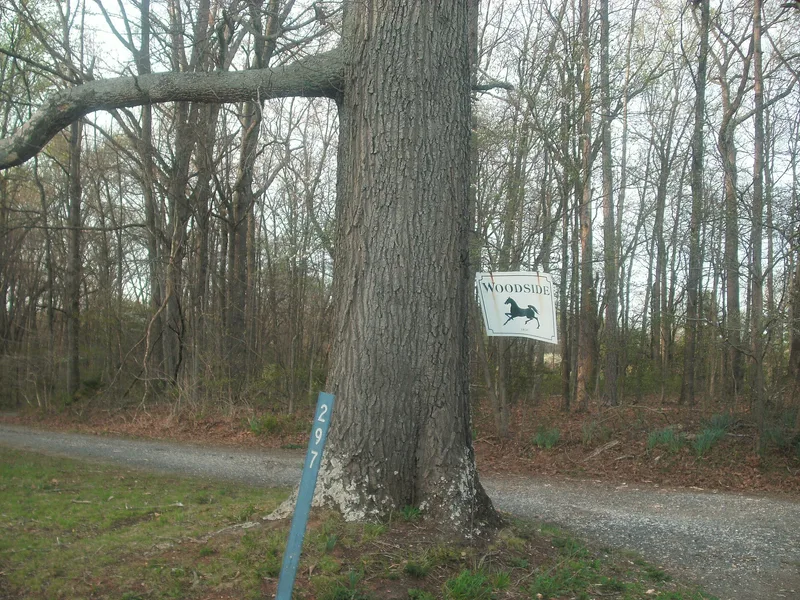 Woodside, Buckingham, Virginia