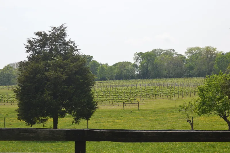 Sunnyfields, Simeon, Virginia