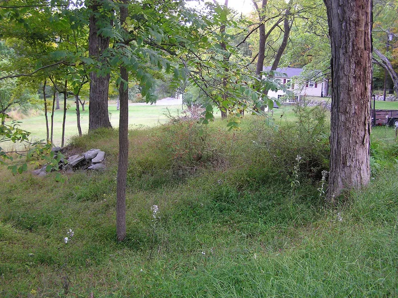 Nearpass House, Mill Rift, Pennsylvania