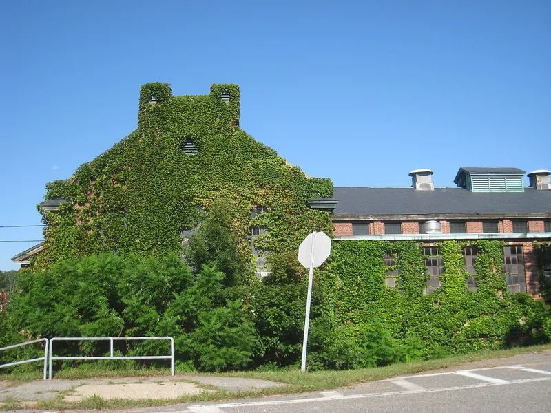 Fernald, Walter E., State School, Waltham, Massachusetts