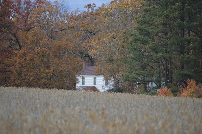 Jones Farm, Kenbridge, Virginia