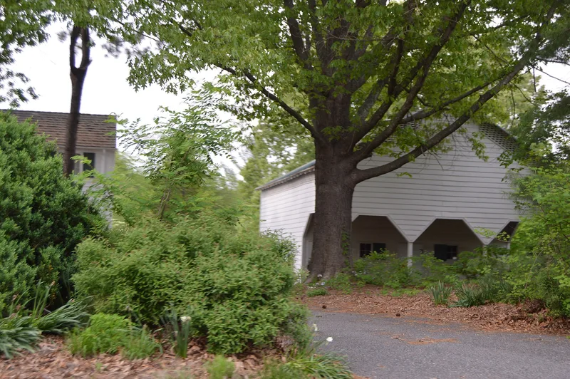 Longwood, Earlysville, Virginia