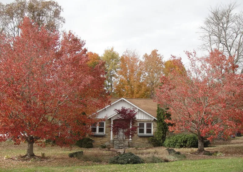 Wiseman, Ray, House, Altamont, North Carolina