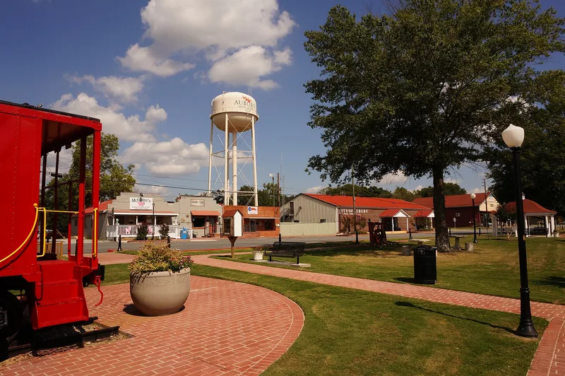 Auburn Historic District, Georgia