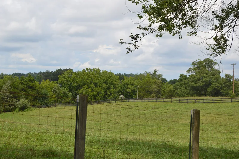Maple Springs, Jeffersonton, Virginia