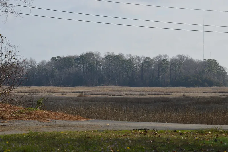 Dumpling Island Archeological Site, Suffolk (Independent City), Virginia