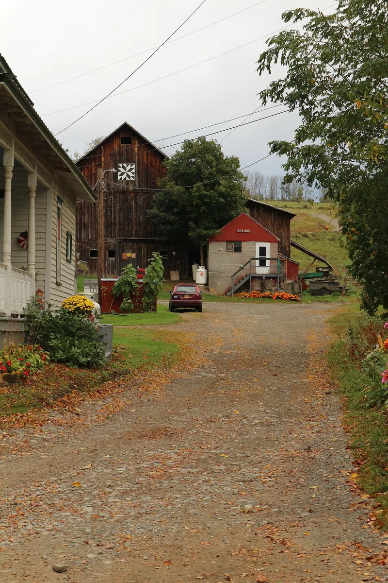 Clinton, Morris, House, Newark Valley, New York