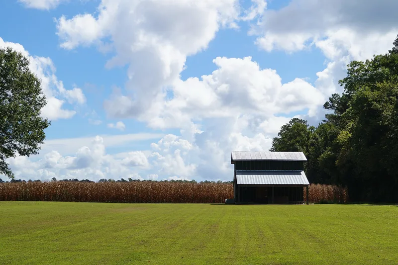Foscue and Simmons Plantations, North Carolina