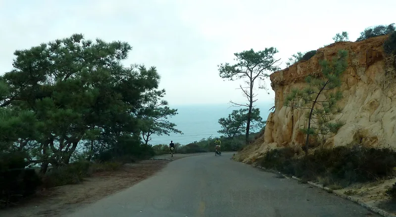 Torrey Pines Park Road, San Diego, California