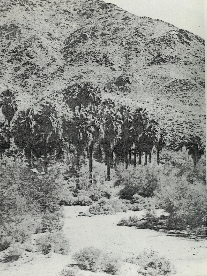 Corn Springs, Desert Center, California