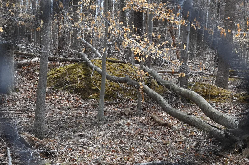 "A" Fort and Battery Hill Redoubt-Camp Early, Manassas Park, Virginia