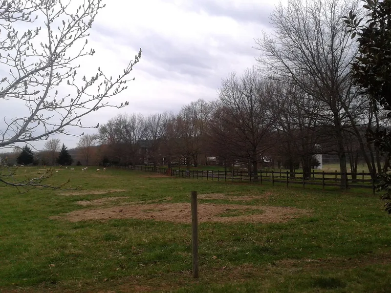 Signal Hill, Culpeper, Virginia