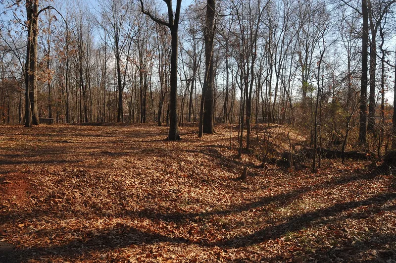 Cannon Branch Fort, Manassas (Independent City), Virginia