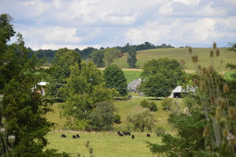 Mountain View Farm, Lexington, Virginia