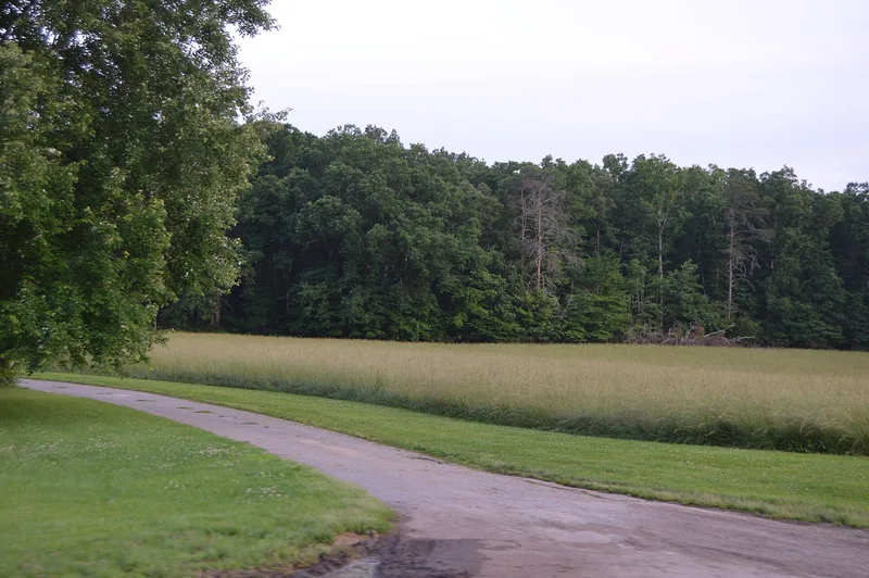 Walnut Hill, Lynchburg, Virginia